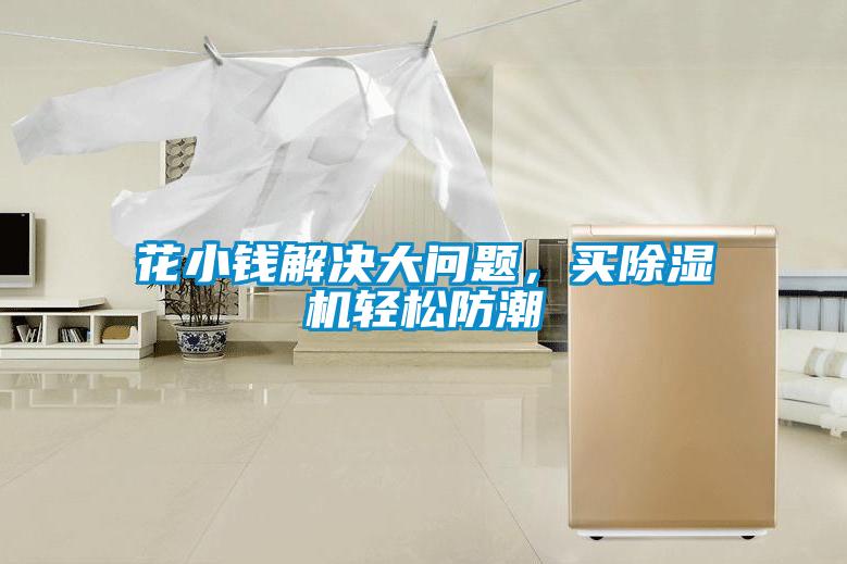 花小錢解決大問題，買除濕機輕松防潮