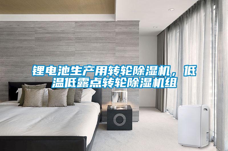 鋰電池生產用轉輪除濕機,低溫低露點轉輪除濕機組