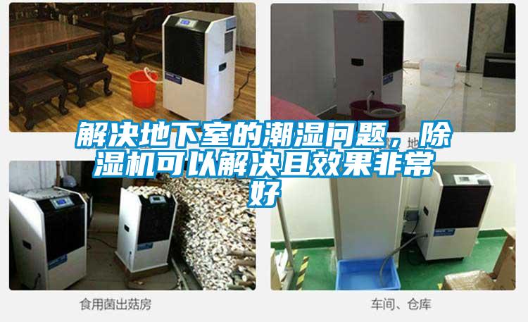 解決地下室的潮濕問題,除濕機可以解決且效果非常好