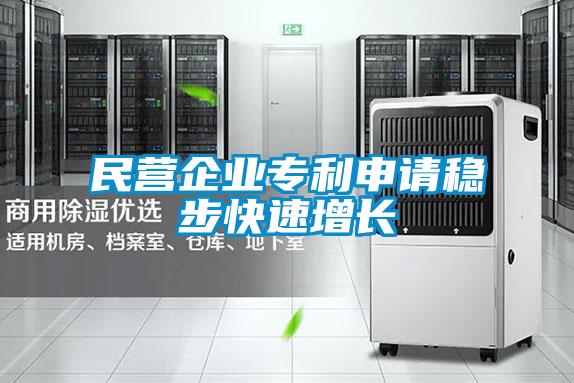 民營企業(yè)專利申請(qǐng)穩(wěn)步快速增長