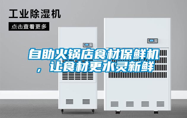 自助火鍋店食材保鮮機,讓食材更水靈新鮮