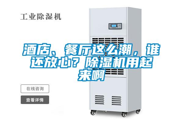 酒店、餐廳這么潮，誰還放心？除濕機用起來啊