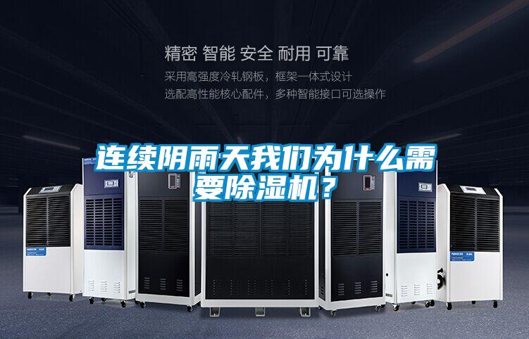 連續(xù)陰雨天我們?yōu)槭裁葱枰凉駲C(jī)?