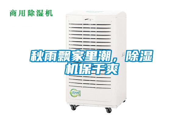 秋雨飄家里潮,除濕機保干爽