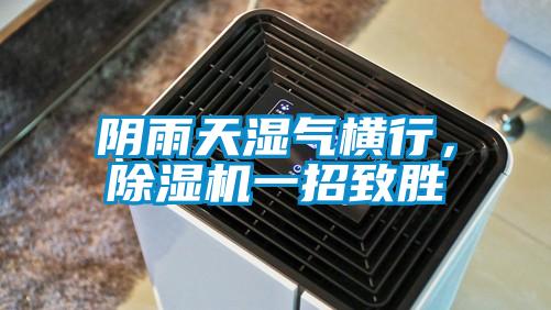 陰雨天濕氣橫行,除濕機一招致勝