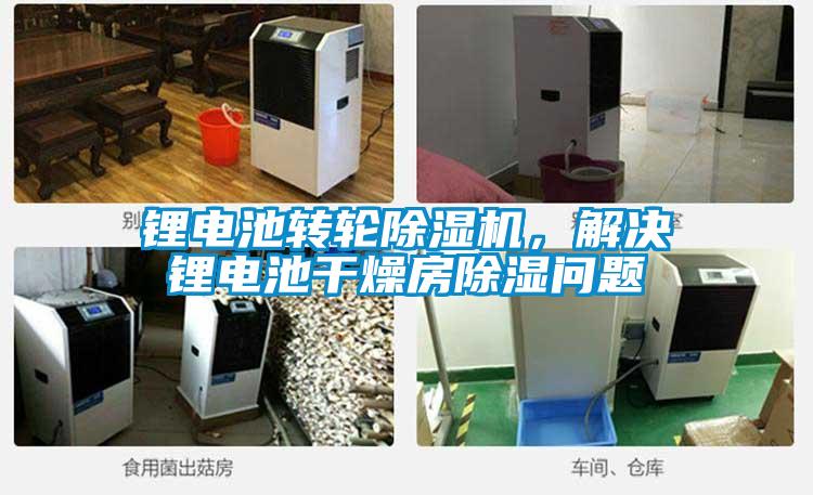 鋰電池轉(zhuǎn)輪除濕機(jī),解決鋰電池干燥房除濕問題
