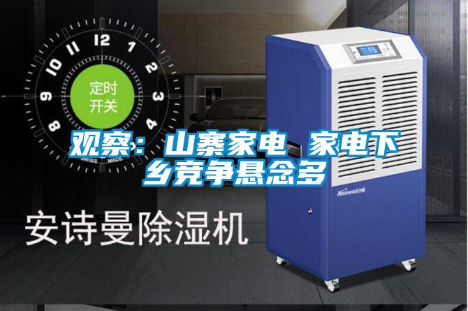 觀察:山寨家電 家電下鄉(xiāng)競爭懸念多