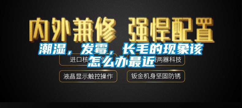 潮濕,發(fā)霉,長(zhǎng)毛的現(xiàn)象該怎么辦最近