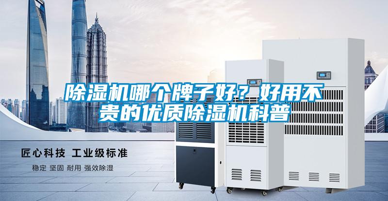 除濕機哪個牌子好?好用不貴的優質除濕機科普
