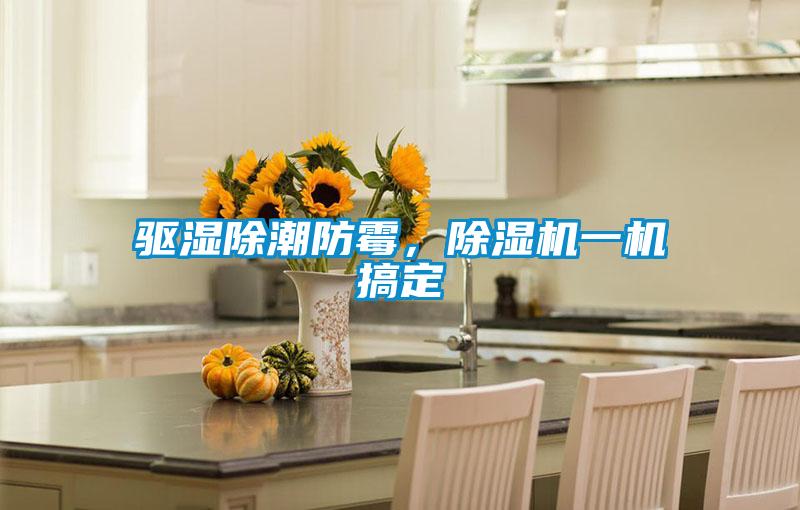 驅(qū)濕除潮防霉,除濕機(jī)一機(jī)搞定
