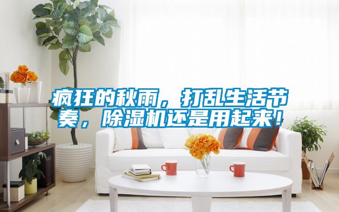 瘋狂的秋雨,打亂生活節(jié)奏,除濕機(jī)還是用起來!