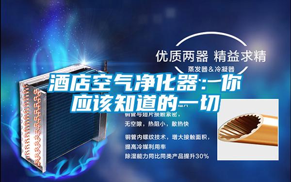 酒店空氣凈化器:你應該知道的一切