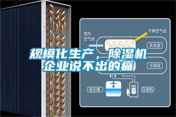 規模化生產,除濕機企業說不出的痛