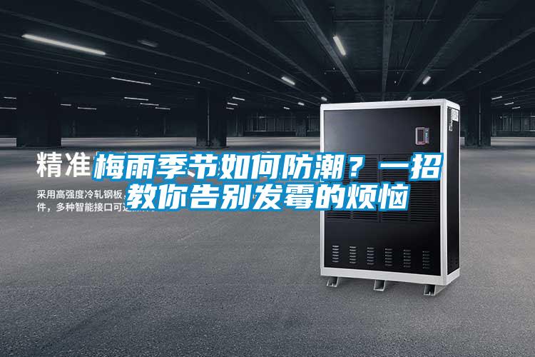 梅雨季節如何防潮？一招教你告別發霉的煩惱