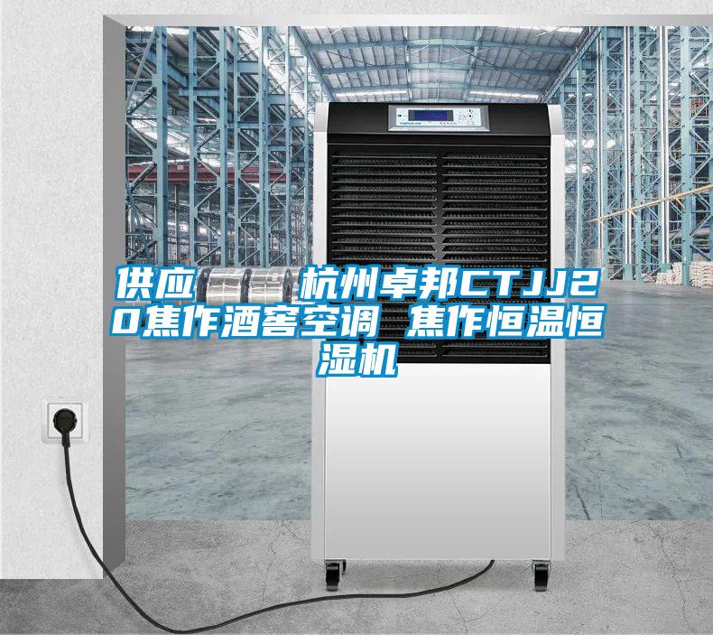 供應 杭州卓邦CTJJ20焦作酒窖空調 焦作恒溫恒濕機