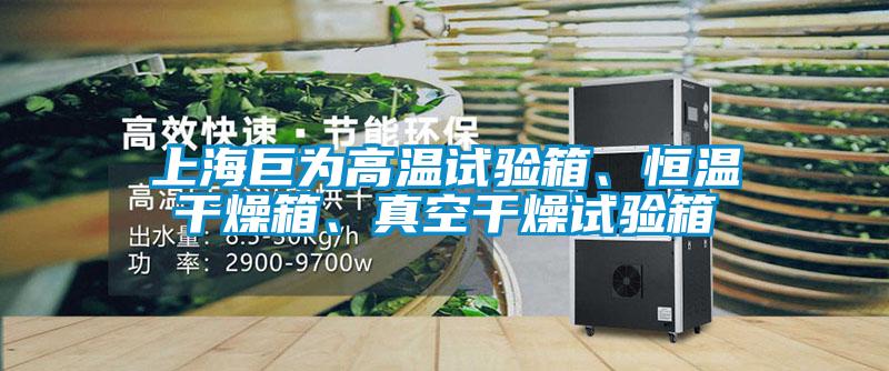 上海巨為高溫試驗(yàn)箱、恒溫干燥箱、真空干燥試驗(yàn)箱