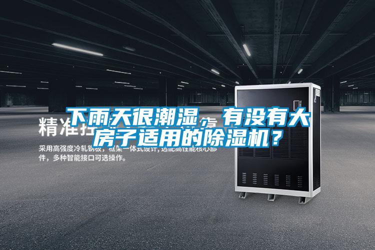 下雨天很潮濕，有沒有大房子適用的除濕機？