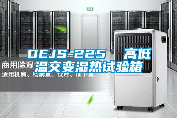 DEJS-225 高低溫交變濕熱試驗箱
