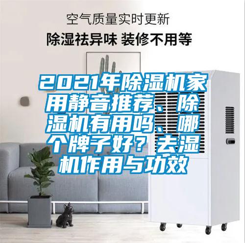2021年除濕機家用靜音推薦、除濕機有用嗎、哪個牌子好？去濕機作用與功效
