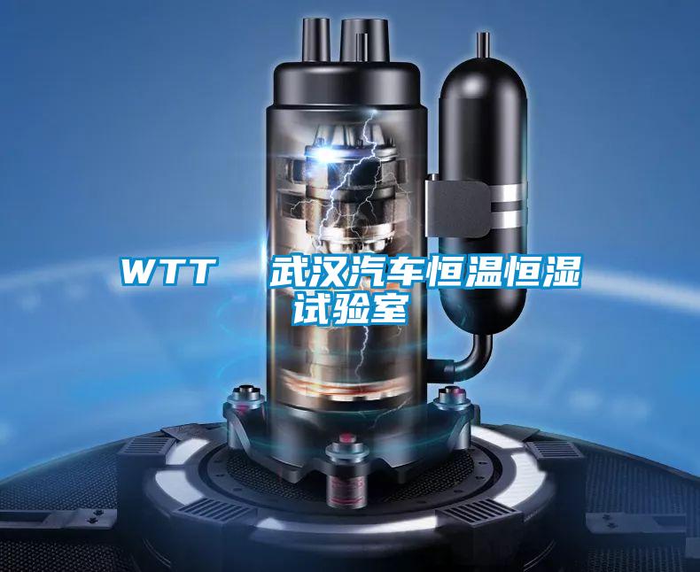 WTT 武漢汽車恒溫恒濕試驗室