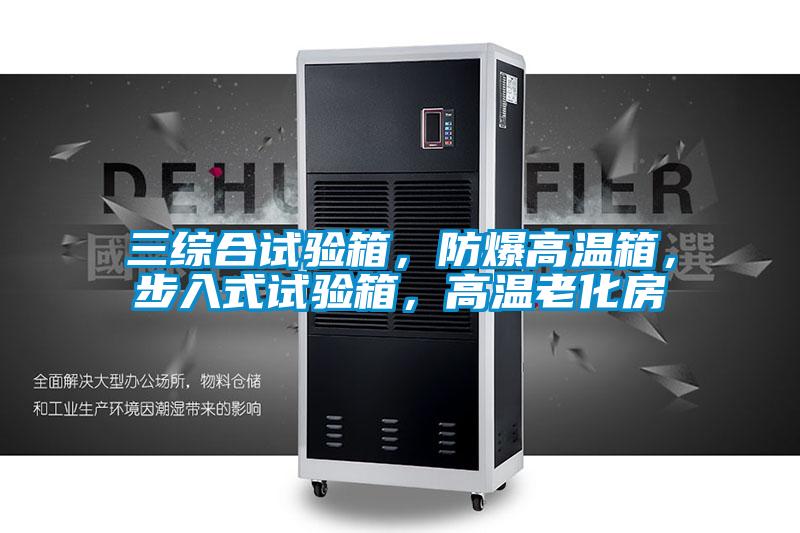 三綜合試驗(yàn)箱,防爆高溫箱,步入式試驗(yàn)箱,高溫老化房