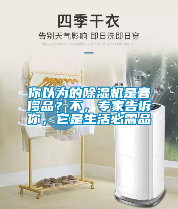 你以為的除濕機(jī)是奢侈品?不,專家告訴你,它是生活必需品