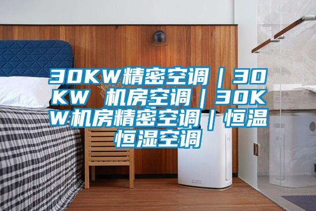 30KW精密空調(diào)|30KW 機(jī)房空調(diào)|30KW機(jī)房精密空調(diào)|恒溫恒濕空調(diào)