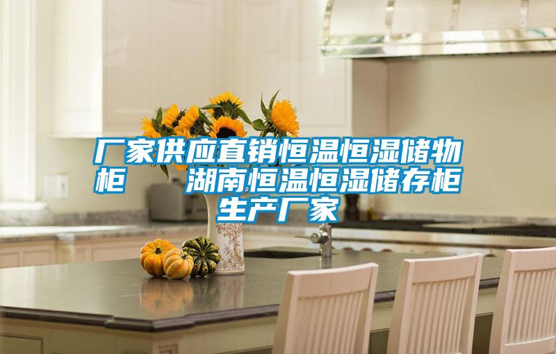 廠家供應直銷恒溫恒濕儲物柜 湖南恒溫恒濕儲存柜生產(chǎn)廠家