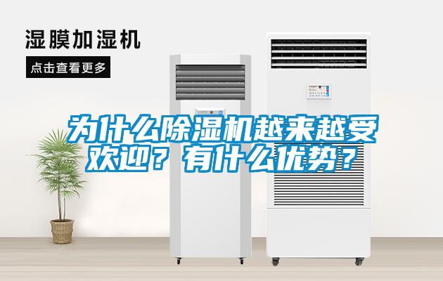 為什么除濕機(jī)越來越受歡迎?有什么優(yōu)勢?