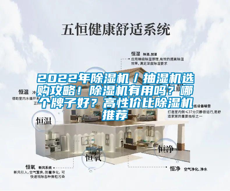 2022年除濕機／抽濕機選購攻略！除濕機有用嗎？哪個牌子好？高性價比除濕機推薦