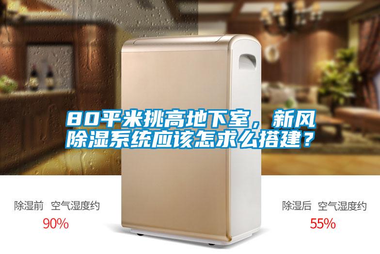 80平米挑高地下室,新風(fēng)除濕系統(tǒng)應(yīng)該怎求么搭建?