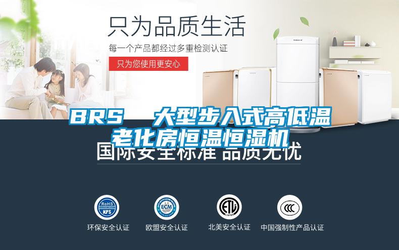 BRS 大型步入式高低溫老化房恒溫恒濕機