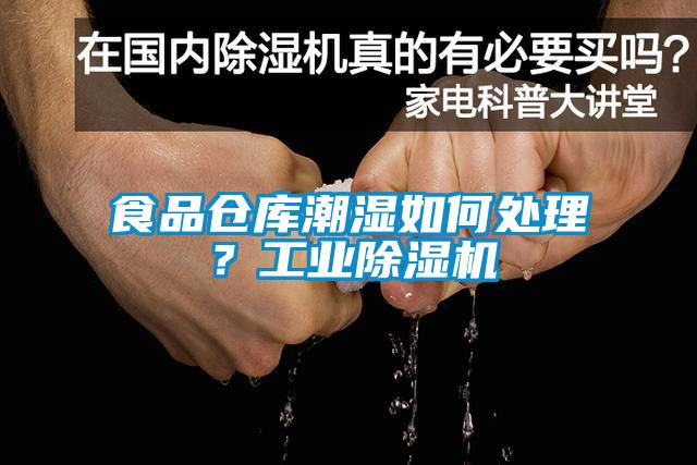 食品倉庫潮濕如何處理？工業(yè)除濕機