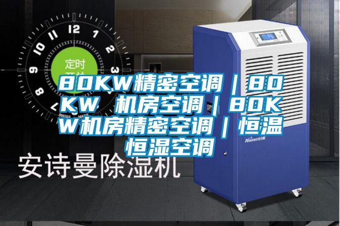 80KW精密空調(diào)|80KW 機(jī)房空調(diào)|80KW機(jī)房精密空調(diào)|恒溫恒濕空調(diào)