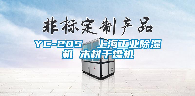 YC-20S 上海工業除濕機 木材干燥機