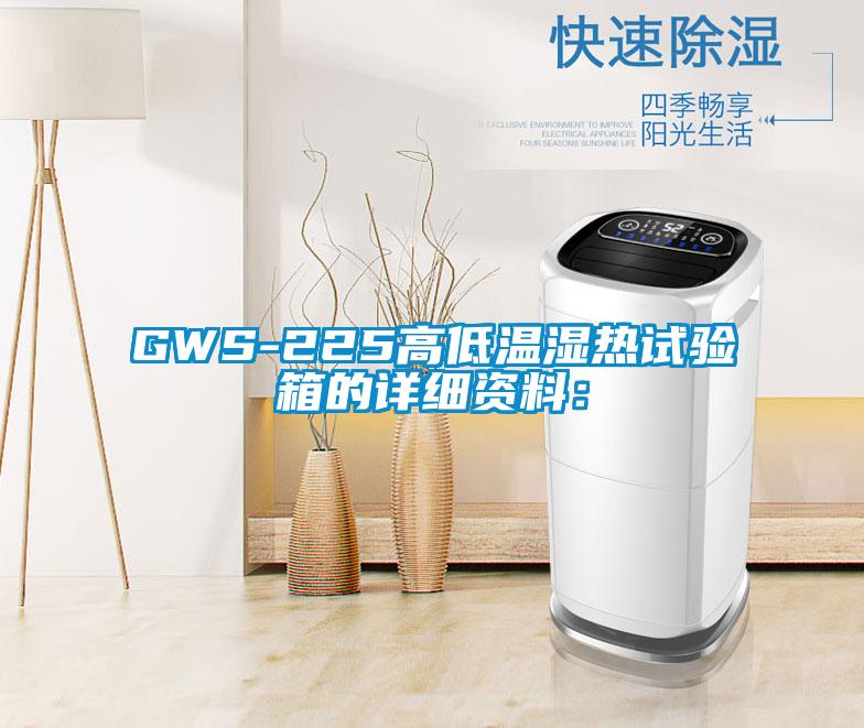 GWS-225高低溫濕熱試驗箱的詳細資料: