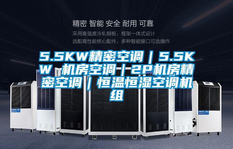 5.5KW精密空調|5.5KW 機房空調|2P機房精密空調|恒溫恒濕空調機組