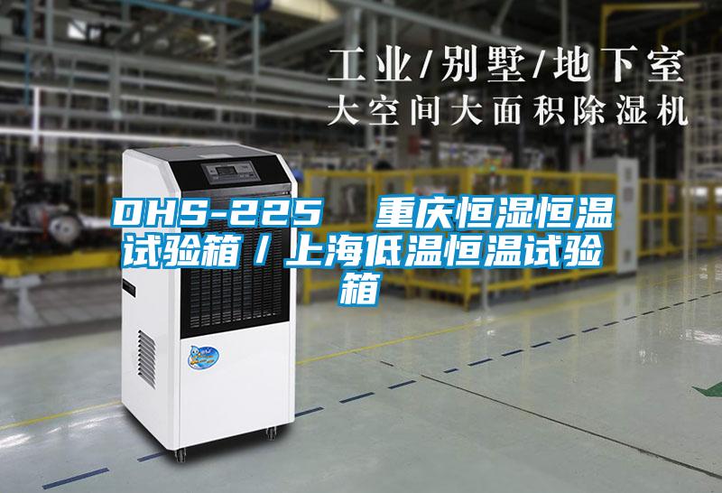 DHS-225 重慶恒濕恒溫試驗(yàn)箱/上海低溫恒溫試驗(yàn)箱