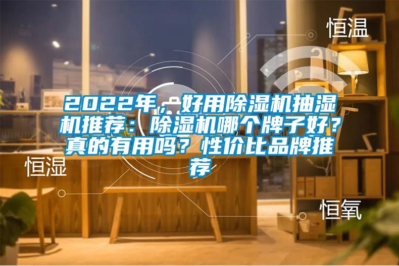 2022年，好用除濕機抽濕機推薦：除濕機哪個牌子好？真的有用嗎？性價比品牌推薦