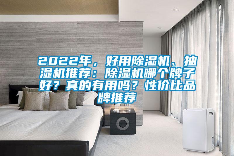 2022年，好用除濕機、抽濕機推薦：除濕機哪個牌子好？真的有用嗎？性價比品牌推薦