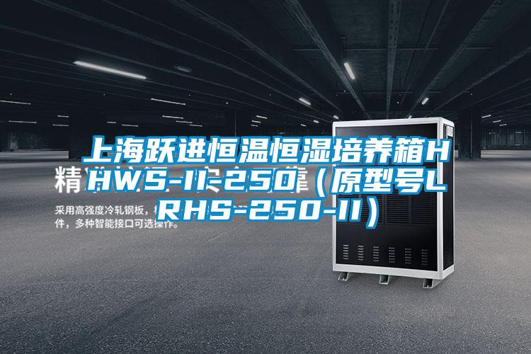 上海躍進恒溫恒濕培養箱HHWS-II-250(原型號LRHS-250-II)