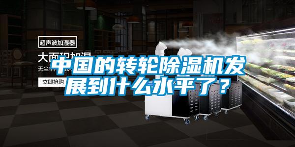中國的轉(zhuǎn)輪除濕機發(fā)展到什么水平了?