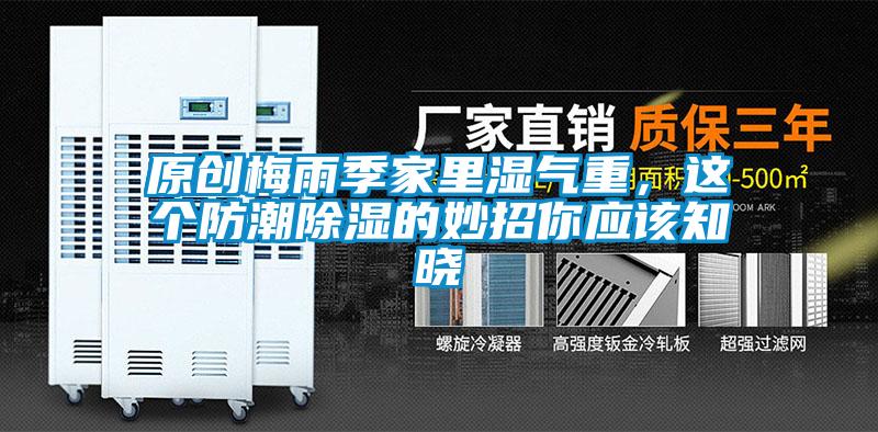 原創梅雨季家里濕氣重,這個防潮除濕的妙招你應該知曉