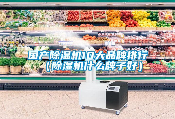 國產除濕機10大品牌排行(除濕機什么牌子好)