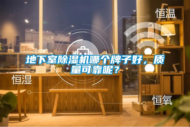 地下室除濕機哪個牌子好，質量可靠呢？