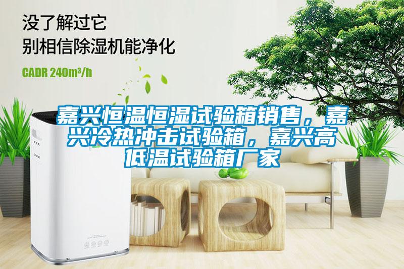 嘉興恒溫恒濕試驗箱銷售,嘉興冷熱沖擊試驗箱,嘉興高低溫試驗箱廠家