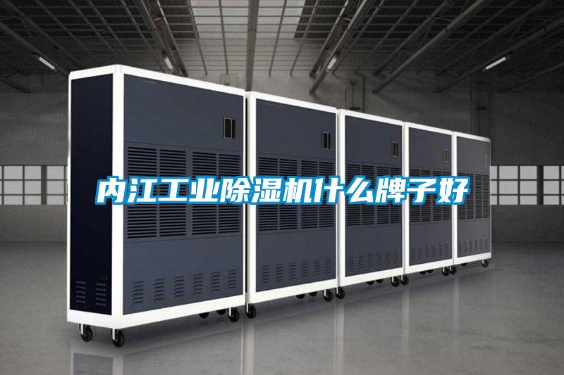 內(nèi)江工業(yè)除濕機(jī)什么牌子好