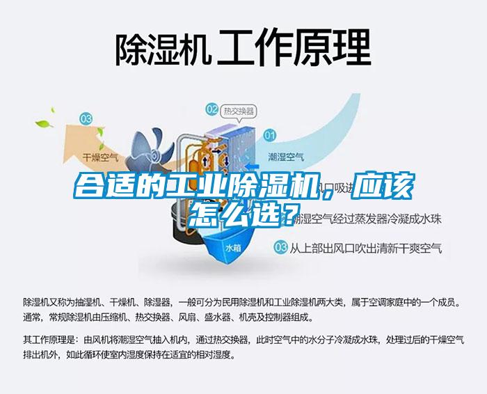 合適的工業除濕機,應該怎么選?
