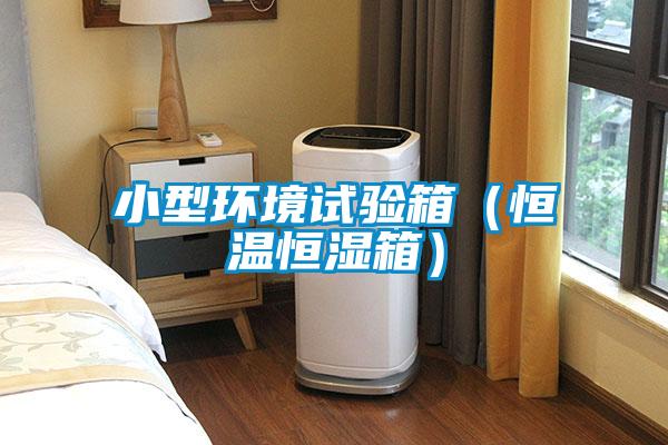 小型環境試驗箱(恒溫恒濕箱)