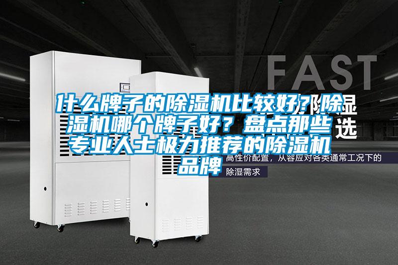 什么牌子的除濕機比較好？除濕機哪個牌子好？盤點那些專業人士極力推薦的除濕機品牌